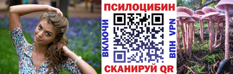 Галлюциногенные грибы Psilocybe  Морозовск 